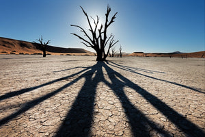 100 Years Part 1- Namibia - South-Western Coast of the African Continent Fine Art Photography AHAVART 