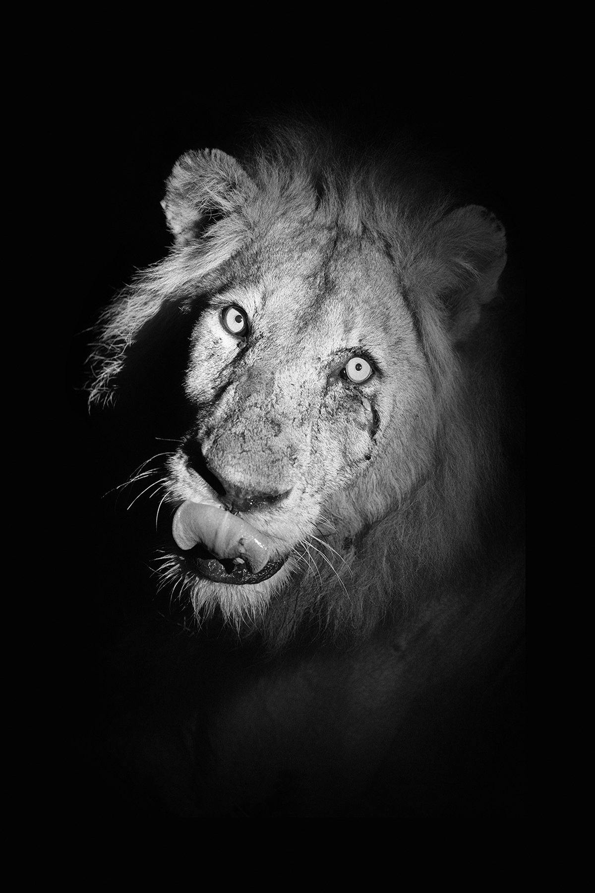 Battle Scars - Africa / Patrick Huot Fine Art Photography AHAVART 