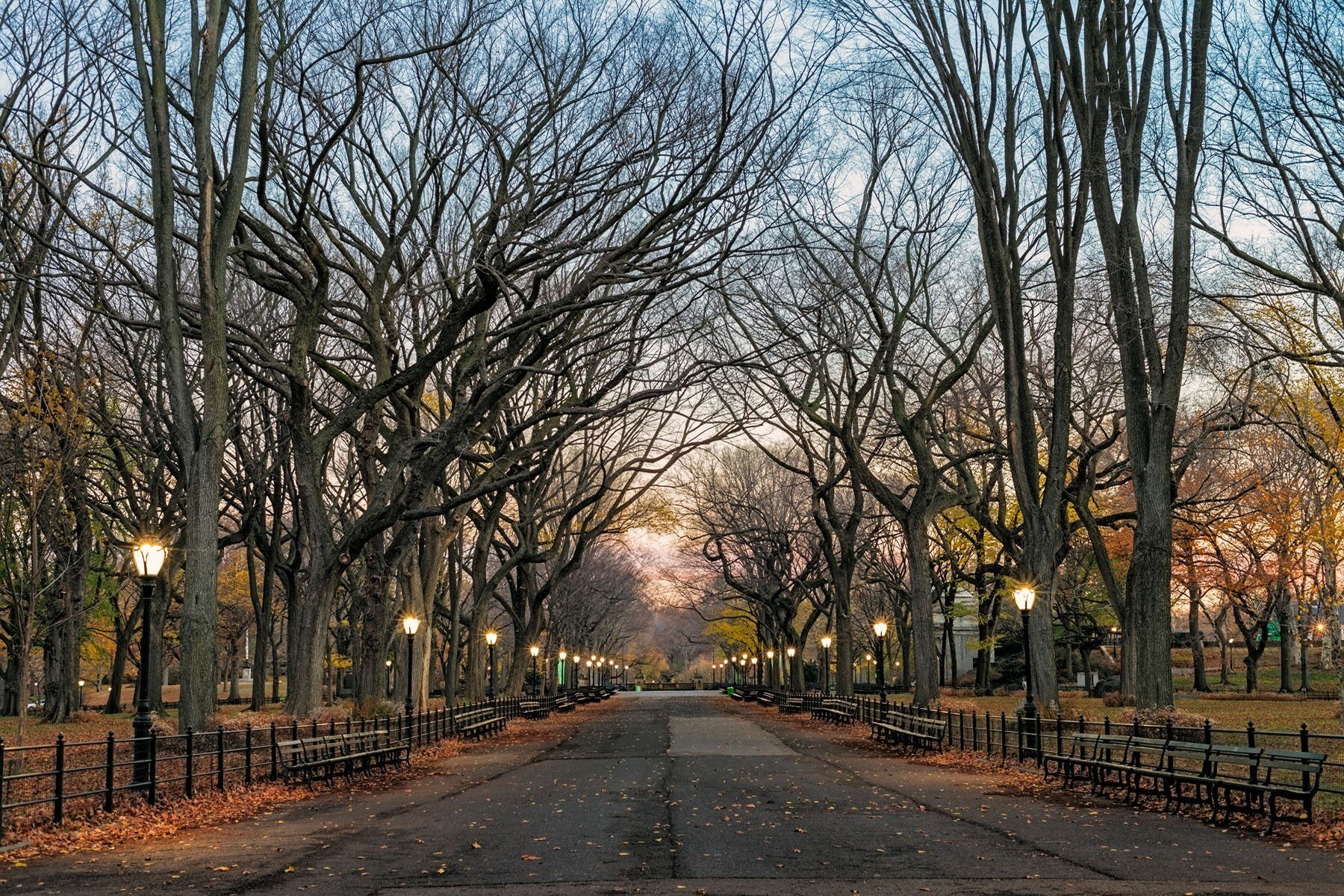 Central Park - Mystery - NYC / Patrick Huot Fine Art Photography AHAVART 