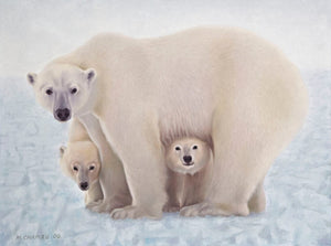 Mikhail Chapiro - Motherhood-Polar Bears AHAVART 