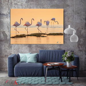 Pink Flamingos - Florida USA / Patrick Huot Fine Art Photography AHAVART 