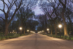 Solitude - Central Park - NYC - / Patrick Huot Fine Art Photography AHAVART 