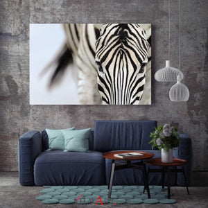 Zebra - Africa / Patrick Huot Fine Art Photography AHAVART 